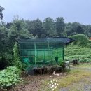이프로 | 남양주 실내 테니스장 - 이프로 테니스장, 고양이가 있는 테니스장 (주차, 후기)