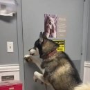 형제동물병원 이미지