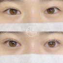 더슈뷰티 | 왕십리 The Shu 더슈뷰티 후기