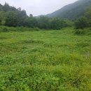 단양농협 대강지점 이미지