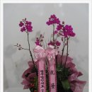 법무법인서호 이미지