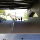 차량골농원 이미지