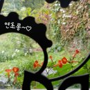 마당도예공방 이미지