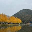 (주)행복은행나무 이미지