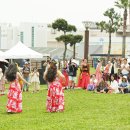 알로하제주 이미지