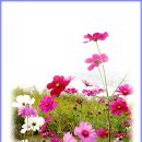 하루하루 이미지