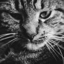 송파원동물병원 이미지