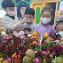 도평초등학교 병설유치원 이미지