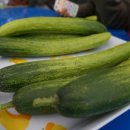 봉황농장 이미지