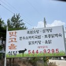 맛고을식당 | 아산 흑염소 맛집 맛고을, 여름에는 흑염소 보양식이 최고!