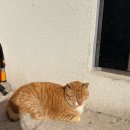 시사이드펜션 | 남해 펜션 추천: 바다 앞 감성 숙소 다경씨사이드 (낚시, 스노클링 가능한 남해 펜션) 내돈내산 후기