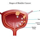 수비뇨기과의원 이미지