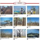 [지도 위를 걷다 / 병풍산] 대구 감싼 9산 종주길…산불 통제구간은 피하세요 이미지