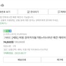 에코 켄넬 이미지