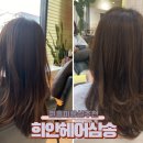 원흥미용실 희안헤어 머릿결 복구 후기 l 디올 디자이너의 비단결클리닉 스페셜