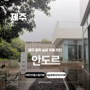 안도르베이커리앤드커피 | 제주 동쪽 여행 구좌 안돌오름 근처 카페 송당무끈모루 포토존 안도르
