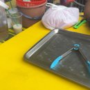 달려라 차차차 이미지