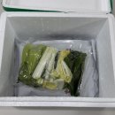 선택한우발전소4호 | 한우발전소 한우곱창전골 집에서 간단히 즐긴 프리미엄 곱창전골 밀키트 후기