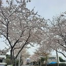 서호동-28 이미지