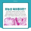 모세안과의원 이미지