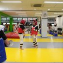 경희대태권도장 이미지