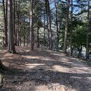 현충원 산책길 | 대전 현충원 보훈 둘레길 완주 경험 – 자연과 역사를 함께하다