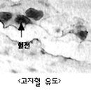 뽕이랑 귀농이랑 이미지