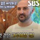 서초대로29길 17-4 이미지