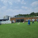 레인바우애견카페 이미지
