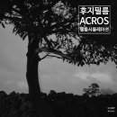 아크로스acros
