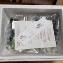 영광(아) 이미지