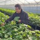 군도12호선 이미지