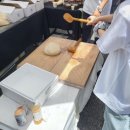 대산버섯농원 | 및 참여 후기 및 지구를 지키는 서포터즈 발대식 후기 [부제: 대학생 조의 다양한 유기농 부스 체험 후기]