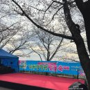 낙동제방 자전거도로 | 부산 낙동강정원 벚꽃축제 낙동제방벚꽃길 꽃구경 피크닉