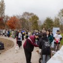 도기그루밍 이미지