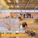 사랑목장 | 안성팜랜드 4월 아이와 가볼만한곳 승마 토끼 먹이주기 체험 후기