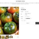 한마음토마토농장