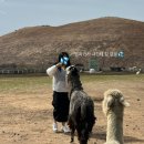 호진목장 이미지