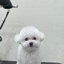 푸드르르 이미지