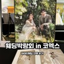 결혼 준비 :: 웨딩박람회 아이티웨딩 플래너와 함께한 결혼 준비 후기