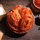 (주)서윤홈쇼핑 이미지