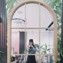 수풀림케이크 이미지