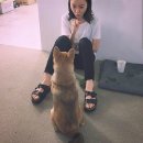 캘리그라피(초급반) 이미지