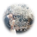 원규 디퍼런스 스튜디오 :: 웨딩촬영후기 / 원본 ②