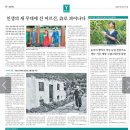 자인