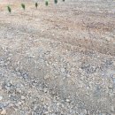 장곡농장 이미지