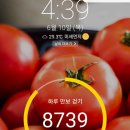 헤어미고 이미지