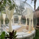 루나트리카페 이미지