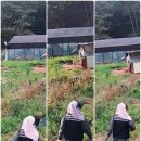 우람찬농장 이미지