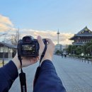 티지코리아 | 캐논 풀프레임 미러리스 카메라 RF85mm F1.4 L VCM RF렌즈 추천